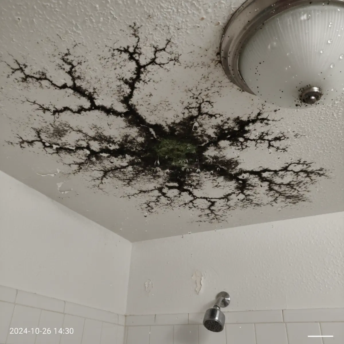 Dark mold patches spreading across a white bathroom ceiling above the shower area