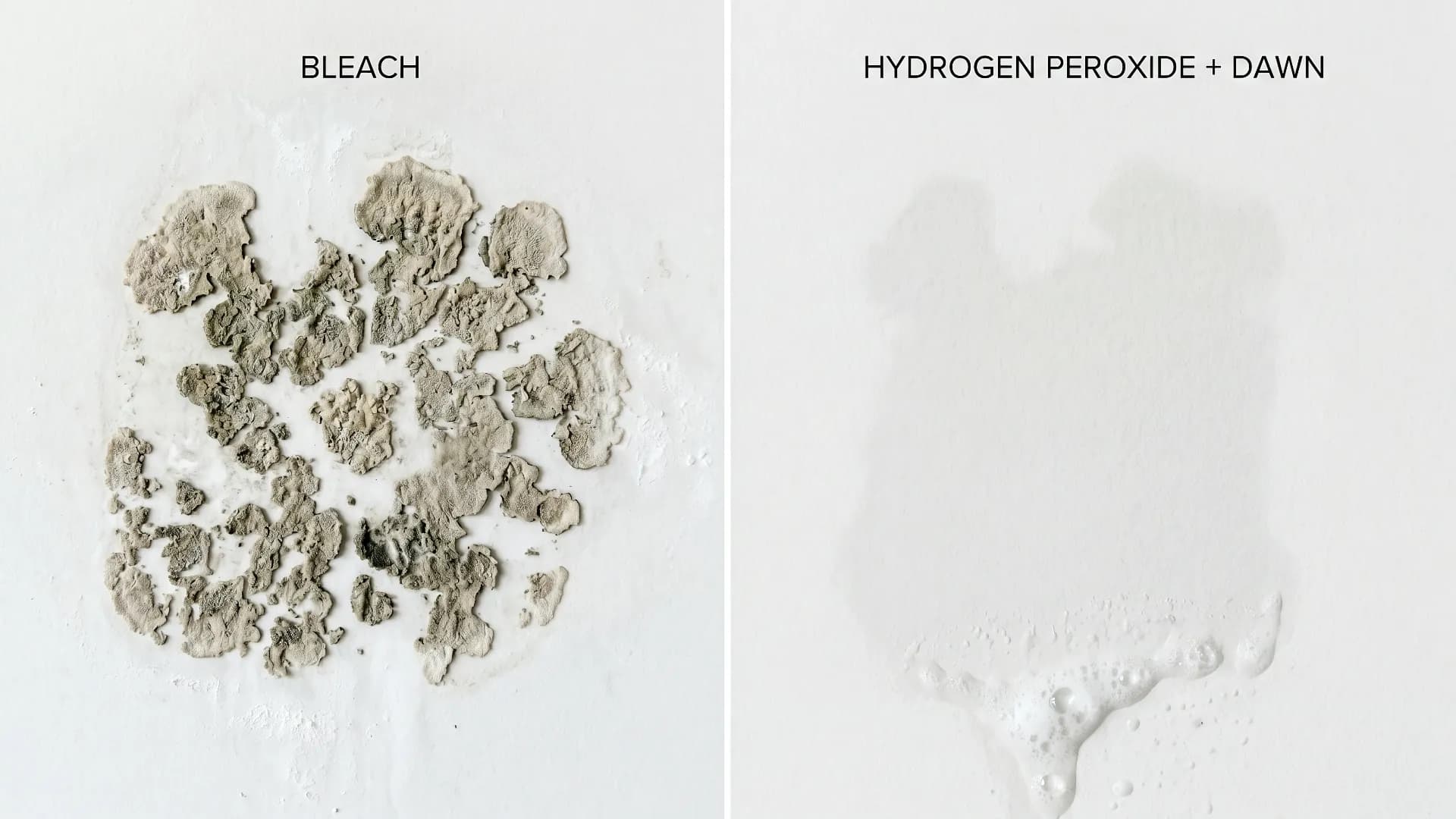 Side-by-side comparison of black mold treated with bleach (faded but still alive) versus hydrogen peroxide and dish soap (fully removed) on white drywall