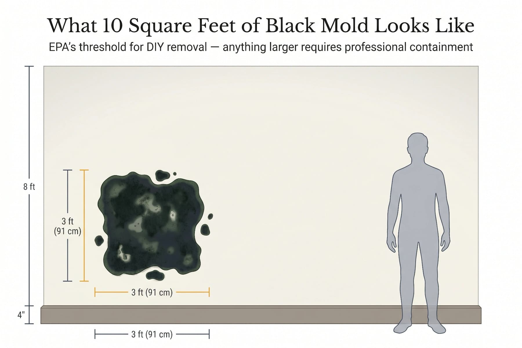 Architectural illustration showing what 10 square feet of black mold looks like to scale on a residential wall, with a human silhouette for comparison and EPA threshold annotation