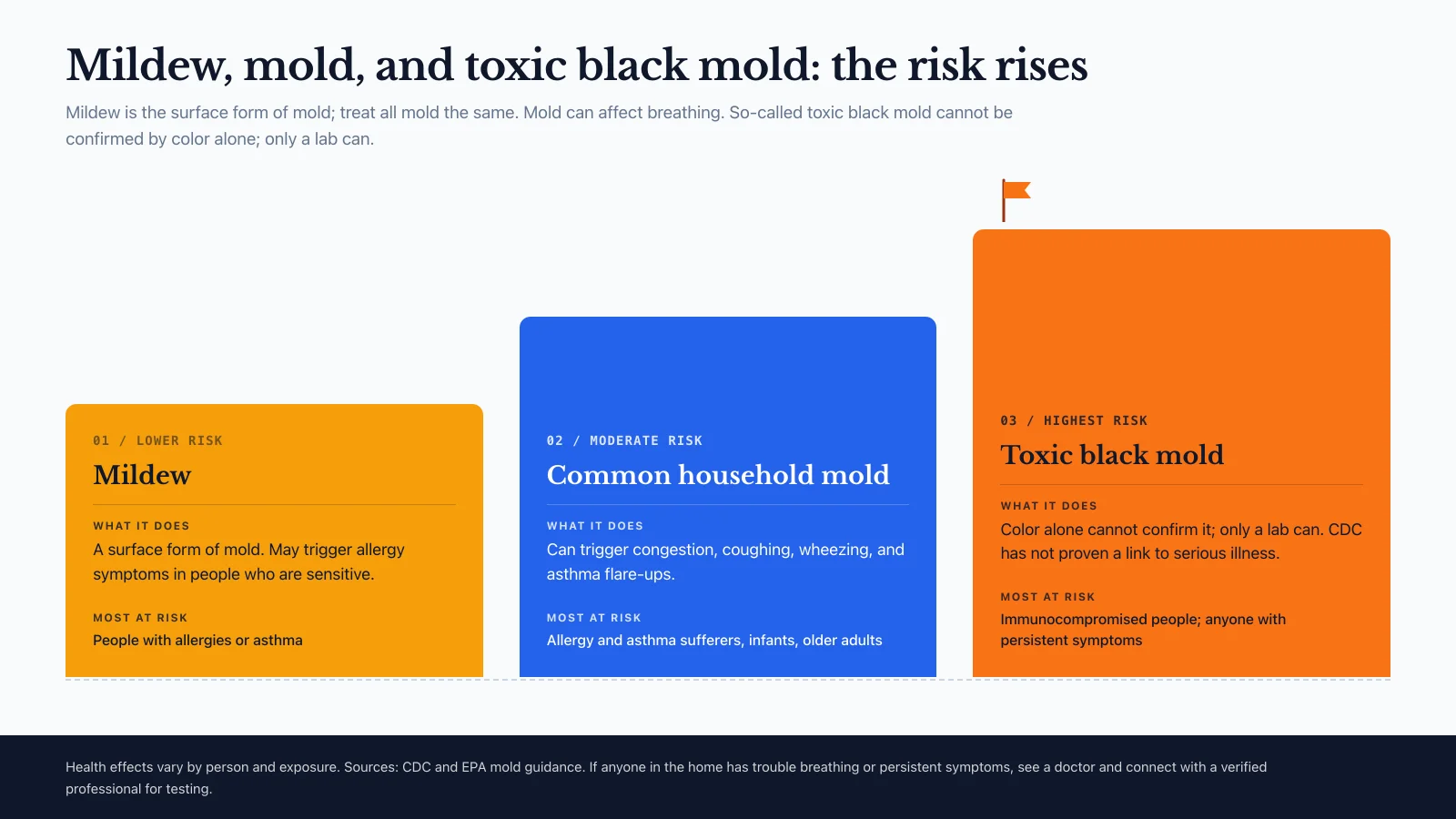 Three-rung risk ladder comparing mildew, common household mold, and so-called toxic black mold. Mildew is the surface form of mold and may trigger allergy symptoms in sensitive people. Common mold can cause congestion, coughing, and asthma flare-ups, with more risk for people who have asthma, allergies, or weakened immune systems. So-called toxic black mold cannot be confirmed by color; only lab testing can, and the CDC has not proven a link to serious illness. Sources: CDC and EPA.