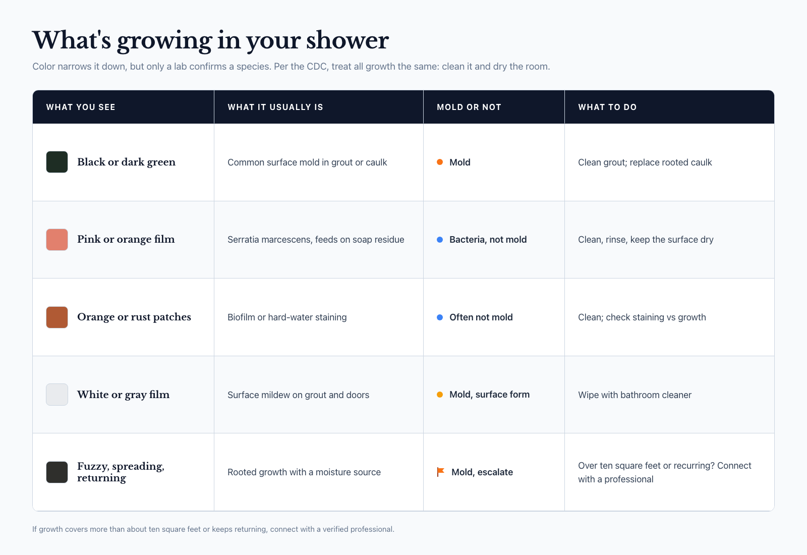 Identification matrix for shower growth by color: black or dark green is usually common surface mold; pink or orange film is Serratia marcescens bacteria, not mold; orange or rust patches are often biofilm or hard-water staining; white or gray film is surface mildew; fuzzy spreading growth that returns means a moisture source and a professional assessment.
